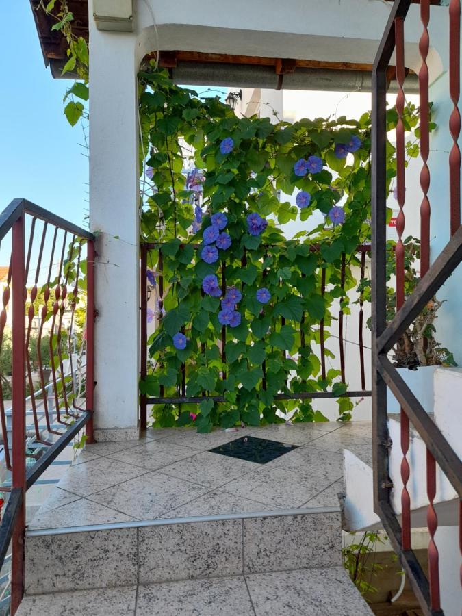 Eleni Apartment Tivat Exterior photo